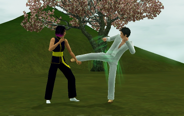 Where Can I Learn Martial Arts Skill In Sims 3 - powerupwelcome
